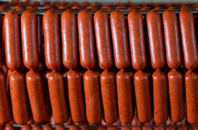 Sausage Production Line: Equipment Selection Guide