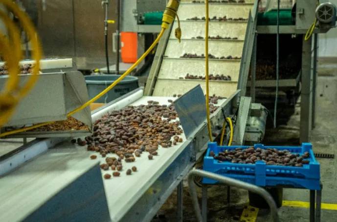 Saudi Expands Food Localization Strategy