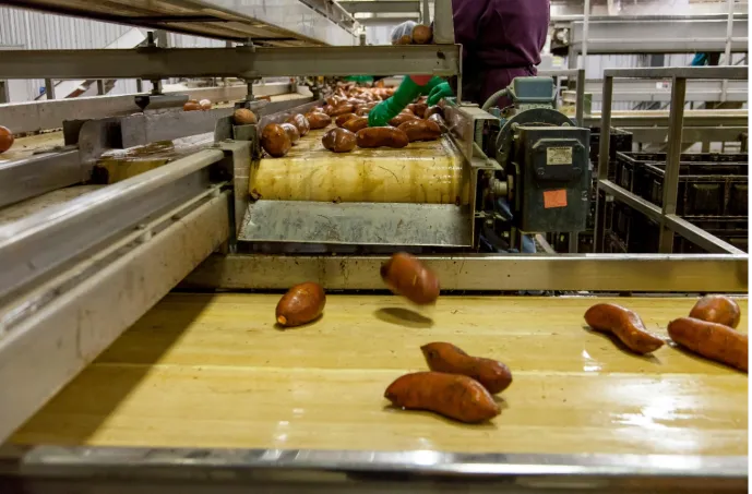 Vietnam Moves Toward Full-Chain Food Compliance
