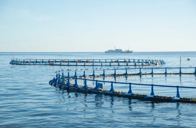 CAA8 impulsa la acuicultura en jaulas inteligentes en Asia