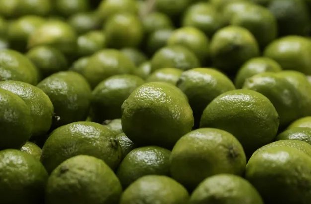 Equipos de procesamiento de frutas para garantizar calidad y frescura