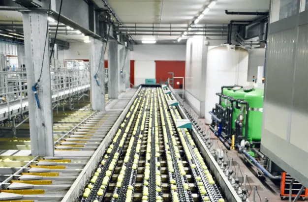 Food Production Line Design for Better Efficiency