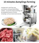Acciaio inossidabile automatico della macchina Empanada dello gnocco di alta efficienza - Macchina per ravioli - foodmachtech