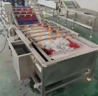 Fresh vegetables, fruit washing, drying processing machinery, dried jujube washing machinery - Washing Tunnel - foodmachtech