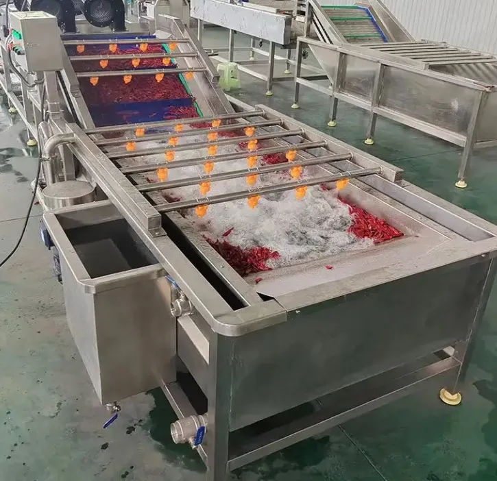 Fresh vegetables, fruit washing, drying processing machinery, dried jujube washing machinery - Washing Tunnel - foodmachtech