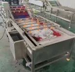 Fresh vegetables, fruit washing, drying processing machinery, dried jujube washing machinery - Washing Tunnel - foodmachtech