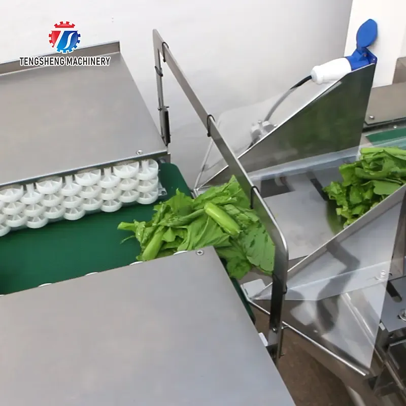 Automatic Sealing Vegetable Packing Machine Pillow Packing Machine Fruit and Vegetable Baling Machine - Packaging Machine - foodmachtech
