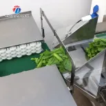 自動シーリング野菜パッキングマシン枕パッキングマシン果物と野菜のバリングマシン - 包装機 - foodmachtech