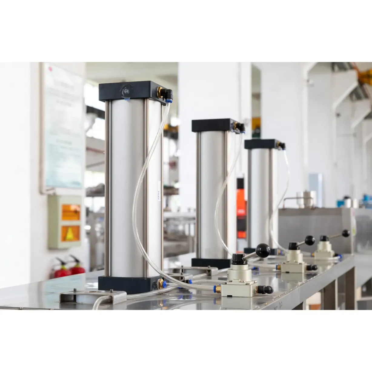 Stainless Steel Water Remove Dry Cheese Press Machine  - Cheese Press - foodmachtech