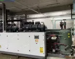 3000KG/H Fluidized IQF Freezer Manufacturer Food Processing Equipment Pet Food Processing Machine French Fries Production Line - Industrial Freezer - foodmachtech