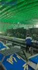 IQF Maiskolben-Gefrier schrank Industrielle Tiefkühlmais-Verarbeitung maschine Zucker mais Schnell gefrier ausrüstung Gemüse maschine - Industrieller Gefrier schrank - foodmachtech