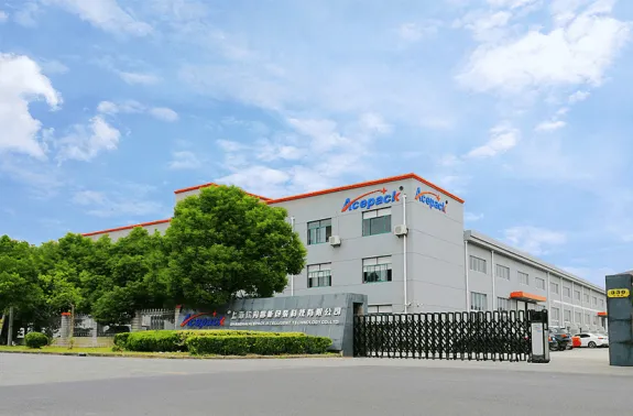 Shanghai Acepack Intelligent Technology Co., Ltd.