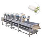 Industrial Fruit and Vegetable Ari Drying Machine Remove Water Fruit Vegetable Processing Fruits Food Vegetables Dryer - Dryer - foodmachtech