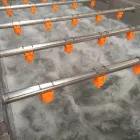 Industrial Fresh Vegetable Fruits Cleaning Drying Processing Machinery Dry Dates Washing Machine for Sale - Washing Tunnel - foodmachtech