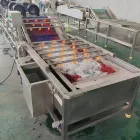 Industrial Fresh Vegetable Fruits Cleaning Drying Processing Machinery Dry Dates Washing Machine for Sale - Washing Tunnel - foodmachtech