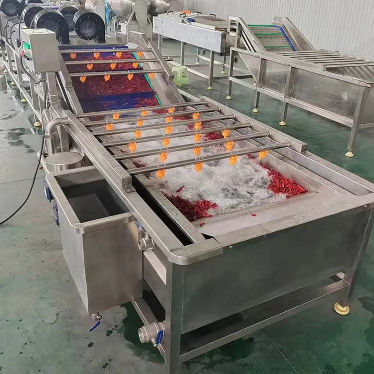 Industrial Fresh Vegetable Fruits Cleaning Drying Processing Machinery Dry Dates Washing Machine for Sale - Washing Tunnel - foodmachtech