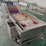 Industrial Fresh Vegetable Fruits Cleaning Drying Processing Machinery Dry Dates Washing Machine for Sale - Washing Tunnel - foodmachtech
