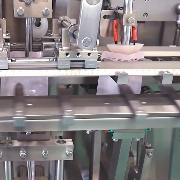 Machine de remplissage DS-140S de haute qualité de machine de conditionnement de Doypack pour des bonbons de fruits secs - Machine de remplissage - foodmachtech