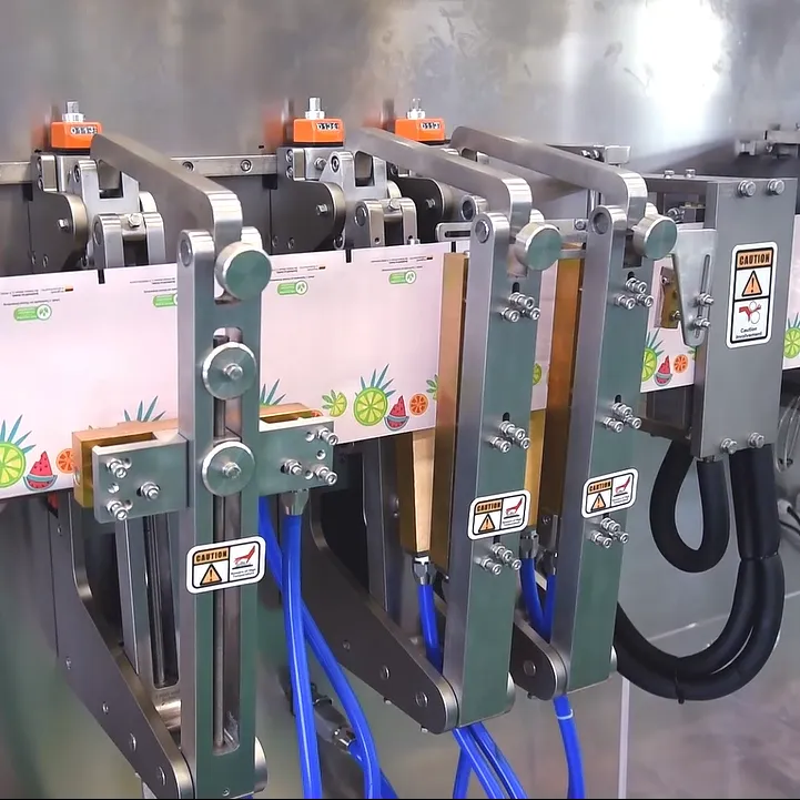 Machine de remplissage DS-140S de haute qualité de machine de conditionnement de Doypack pour des bonbons de fruits secs - Machine de remplissage - foodmachtech