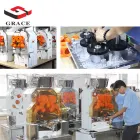 Kommerzielle Entsafter-Abzugs maschine Edelstahl automatische elektrische orange Zitrone mit Orange - Kaltpresse-Maschine - foodmachtech