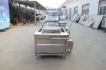 Fruit and vegetable bubble cleaning machine seafood and fish cleaning equipment - Cleaning Machine - foodmachtech