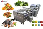 Fruit and vegetable bubble cleaning machine seafood and fish cleaning equipment - Cleaning Machine - foodmachtech