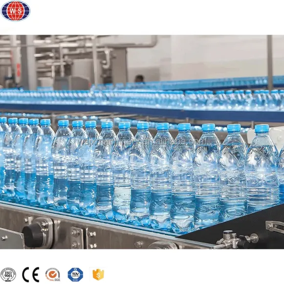 Small Bottle Automatic Water Filling and Capping Production Line Water Factory Turnkey Plant