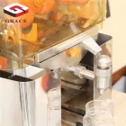 Kommerzielle Entsafter-Abzugs maschine Edelstahl automatische elektrische orange Zitrone mit Orange - Kaltpresse-Maschine - foodmachtech