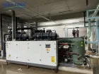 Linha de Processamento Congelado Automático IQF Vegetal Fruta Marisco Carne Congelador 1000 KG/H Congelamento de Alta Velocidade para Camarão - Congelador industrial - foodmachtech