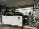 Linha de Processamento Congelado Automático IQF Vegetal Fruta Marisco Carne Congelador 1000 KG/H Congelamento de Alta Velocidade para Camarão - Congelador industrial - foodmachtech