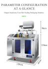 Adjustable Pouch Spice Sachet Wash Powder Wheat Flour Maize Meal Pack Machine Premade Pouch Packaging Machine - Packaging Machine - foodmachtech