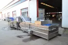Equipo de la máquina de blanqueamiento vegetal para la retención del color y el blanqueamiento en el procesamiento de frutas y verduras - Máquina de limpieza - foodmachtech