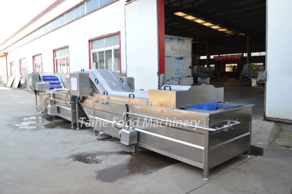 Commercial Fruit Vegetable Washing Machine Bubble Type Vegetable Fruit Cleaner Machine