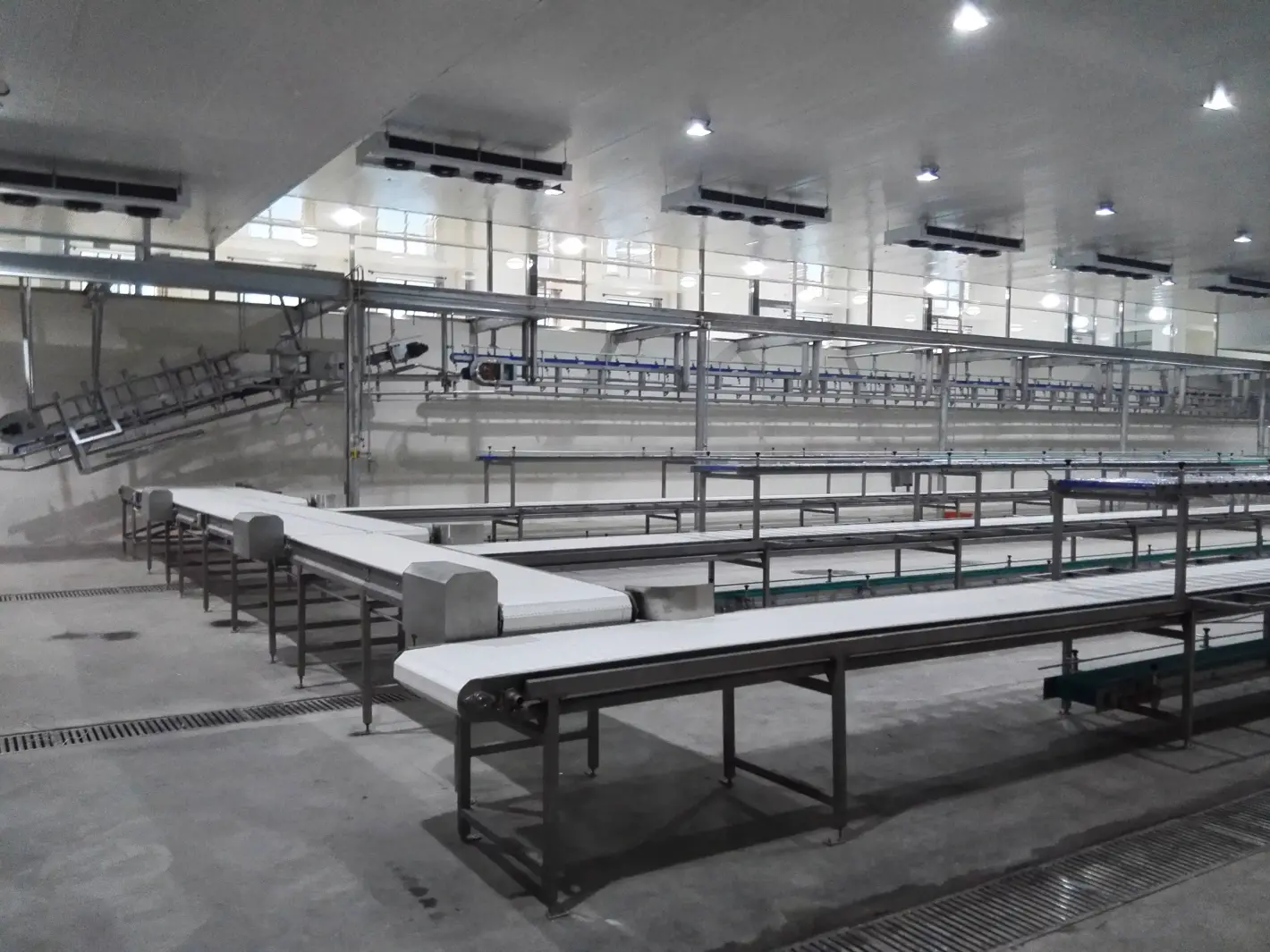 Hueso automático del cortador del disco de la carne para la producción de la nueva tecnología de la casa del procesamiento y de la matanza de la carne - Separador del hueso de la carne - foodmachtech