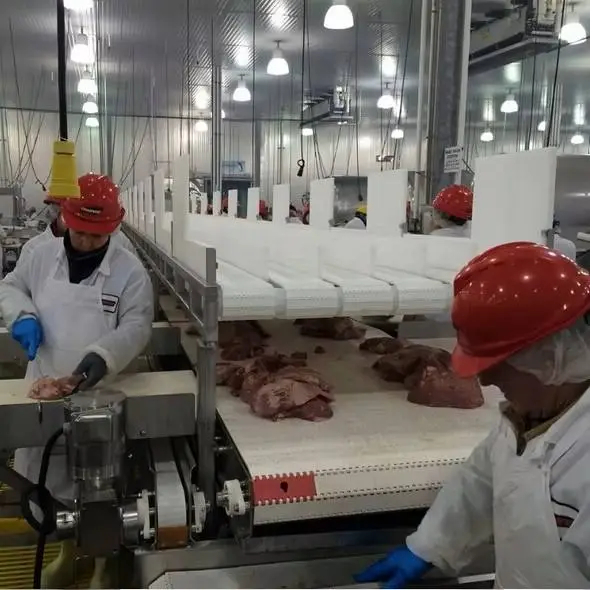 Высокоэффективная линия для обвалки и порционирования мяса со структурой из нержавеющей стали для переработки говядины, свинины, баранины и птицы - Сепаратор мяса и костей - foodmachtech