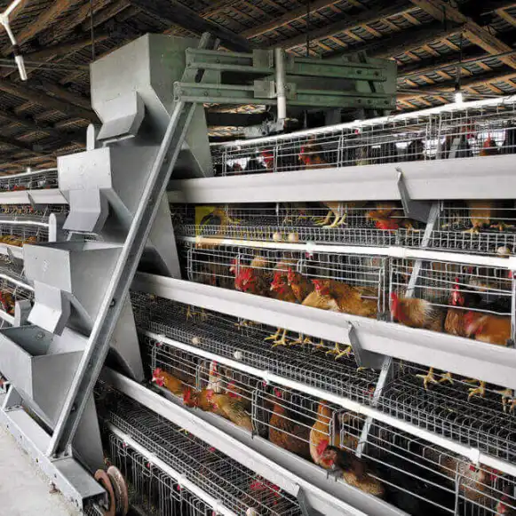 Automatische Hühnerbatterie-Hühnerstall-Eier-Legehennen-Geflügelfarm für Nigeria Kenia Guinea