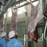 할랄 학살 장비 기계 육류 공정 라인을위한 소 Abattoir - 소 & 양 도살 생산 라인 - foodmachtech