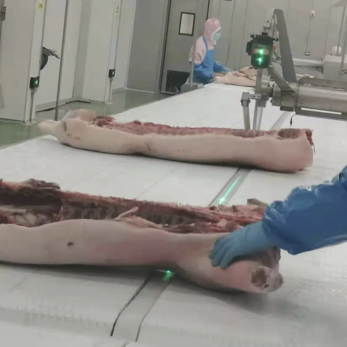 Línea completa moderna de la matanza para la máquina automática de la matanza del cerdo del ganado con el motor y el transporte de los componentes de la base - Línea de producción de sacrificio de cerdos - foodmachtech