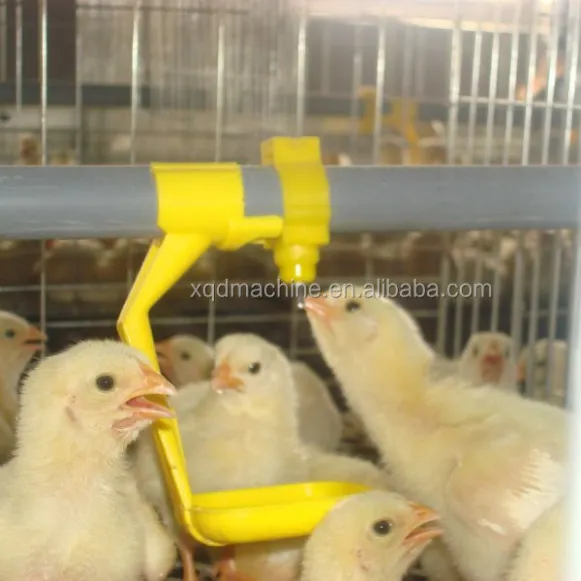Automatic Square Pipe 22cm*22cm Nipple Drinkers for Broilers