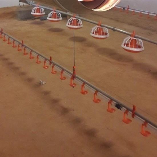 Núm vú cho gà thiết bị hệ thống uống tự động