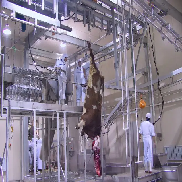 할랄 학살 장비 기계 육류 공정 라인을위한 소 Abattoir - 소 & 양 도살 생산 라인 - foodmachtech