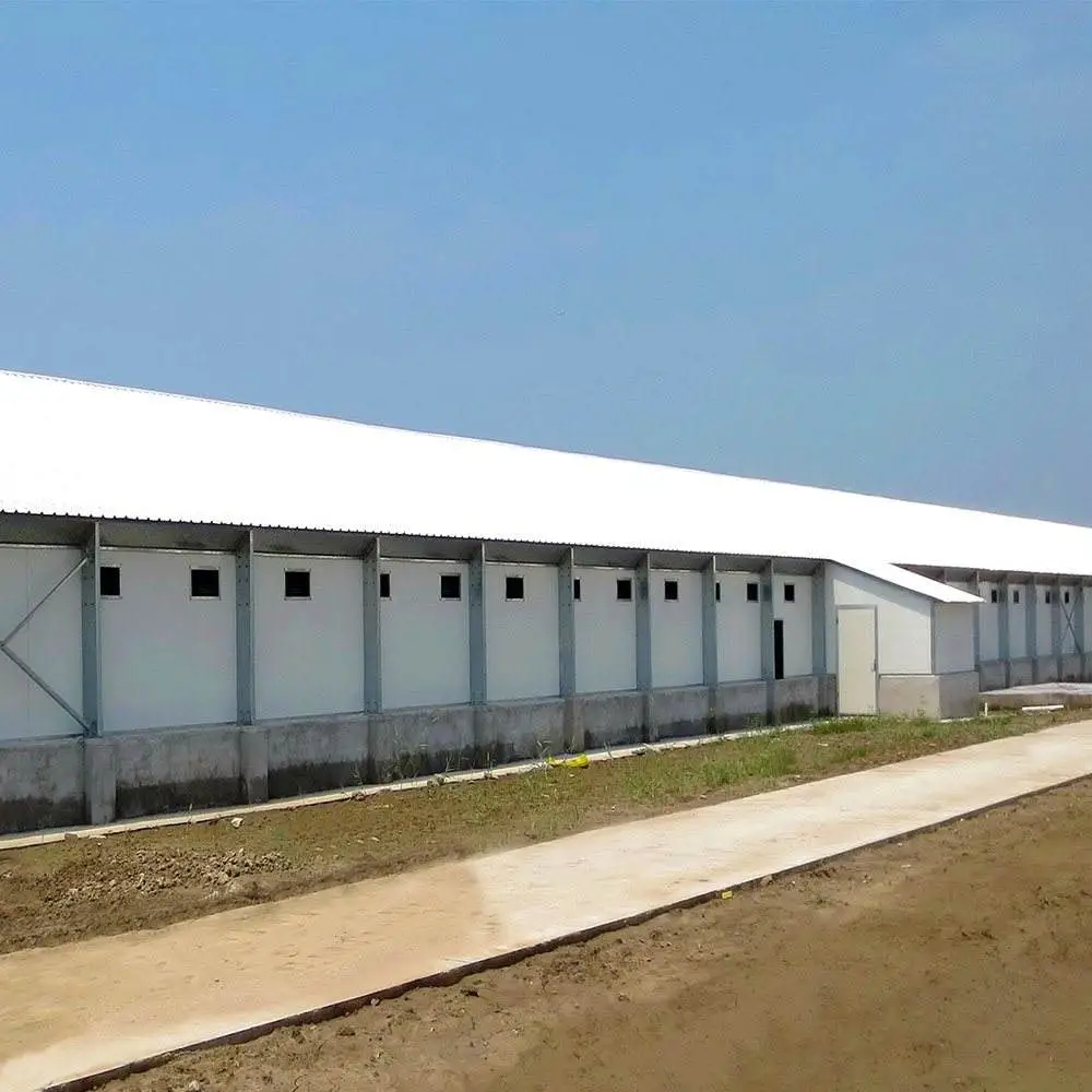 Edificio de taller Personalizar piezas de acero para equipos Casa de pollo móvil Estructura de acero - Casa de aves de corral de ahorro de energía Nef - foodmachtech