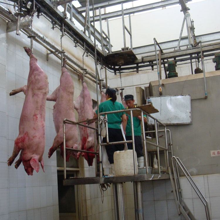 เครื่องจักรแปรรูปเนื้อสัตว์หมูคุณภาพดีสำหรับโรงฆ่าสัตว์หมู