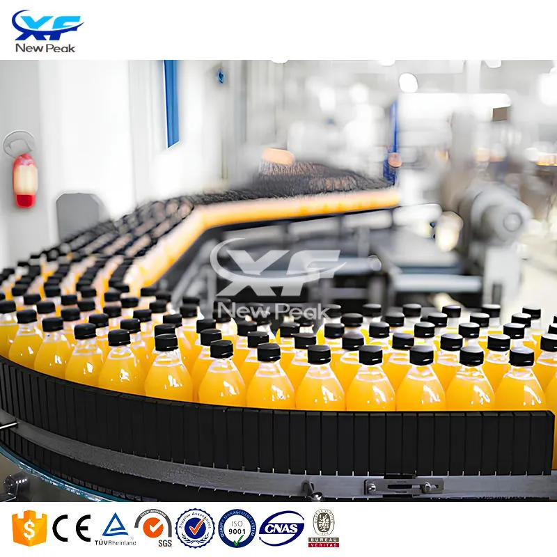 Fully Automatic Juice Processing Machines/Bottle Juice Production Plant/Liquid Filler - Filling Machine - foodmachtech