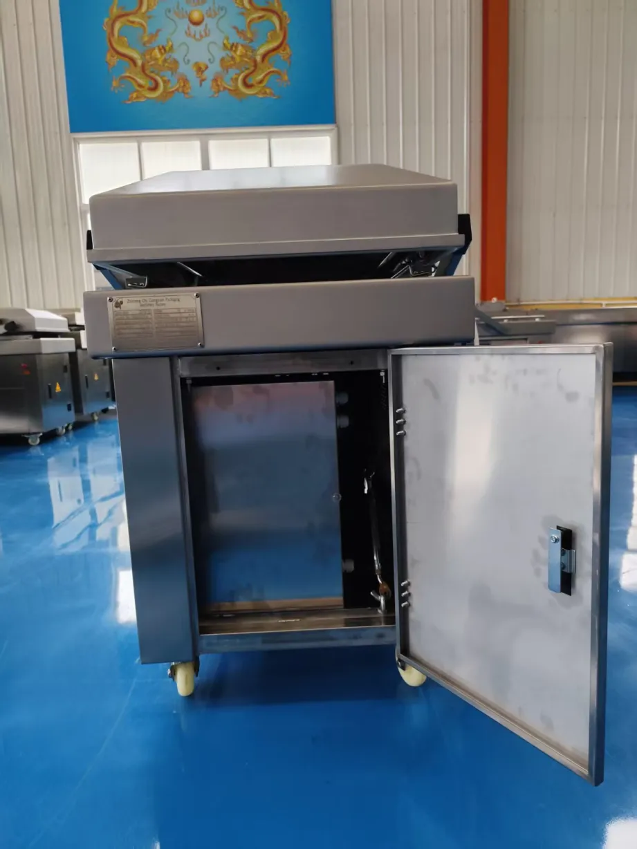 DZ-700/2S Double Chamber Vacuum Packaging Machine Rice and Yellow Croaker Packing - Packaging Machine - foodmachtech