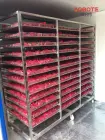 Высококачественный промышленный лоток PLC, контролируемый для сушеного чая Дегидратор лепестков цветов Промышленный дегидратор лепестков цветов - Сушилка - foodmachtech