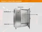 Commercial Food Dehydrator Vegetable Fruit Groundnut Onion Drying Machine - Dryer - foodmachtech