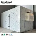 Bescool 220V/60HZ Single Phase Mobile Cold Room 2.4*2.4*2.4 Frozen Cooler -15 to -20C for Fish & Meat Storage - Freezer - foodmachtech