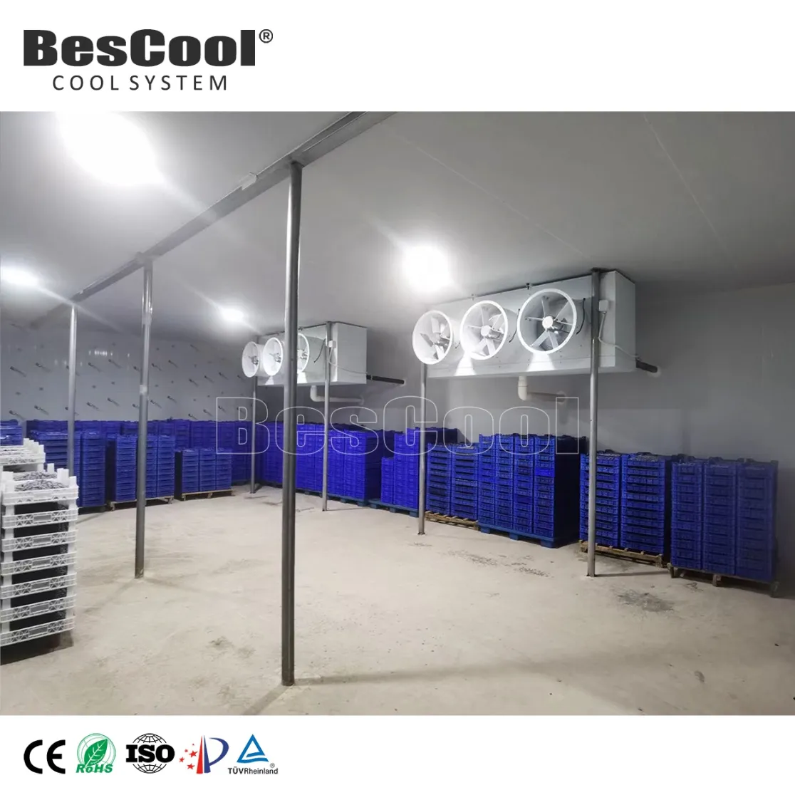 Customizable 6*2.4*3m Cold Room -25~+10degrees Temperature Controlled 150mm Cooling System Freezer Retail - Freezer - foodmachtech