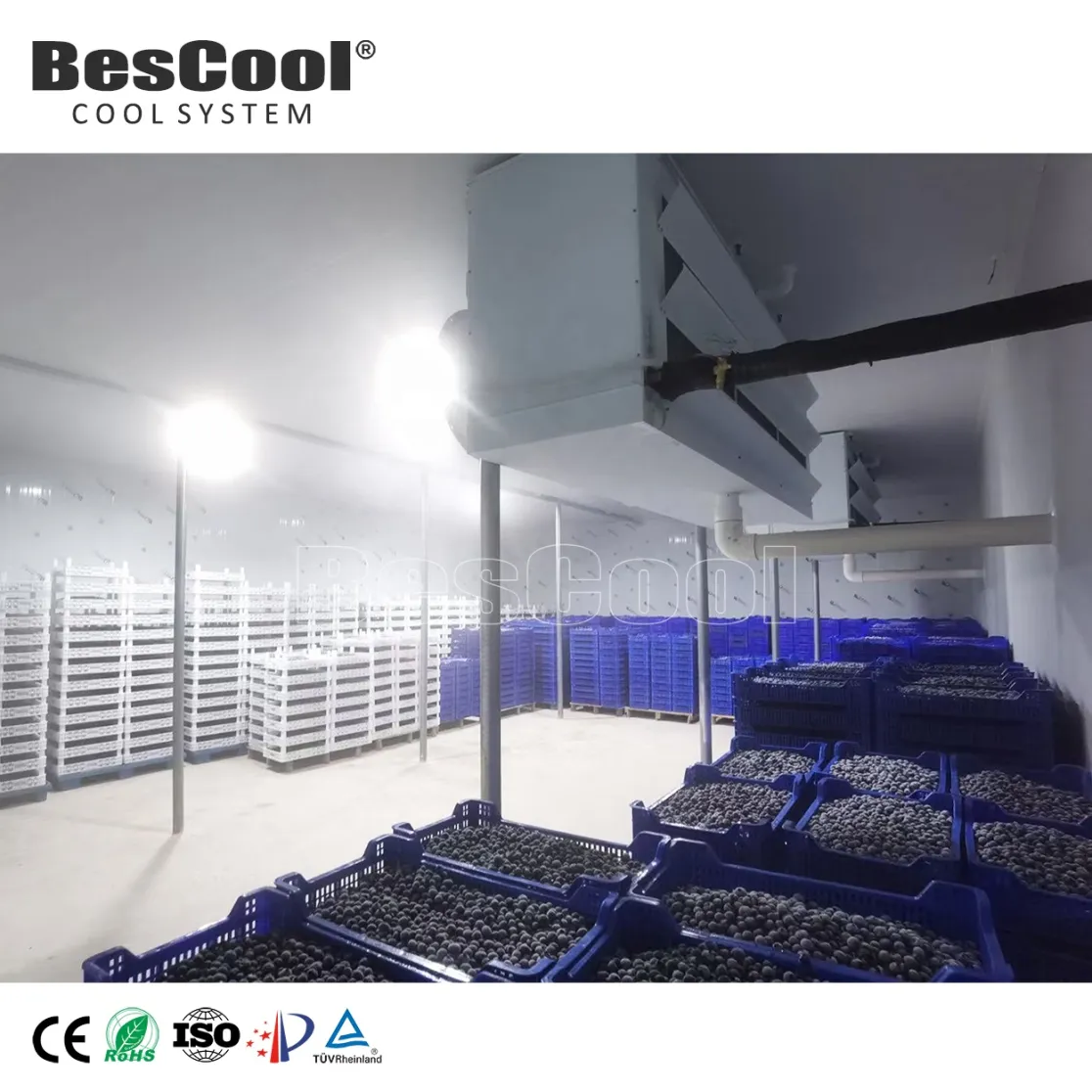 Customizable 6*2.4*3m Cold Room -25~+10degrees Temperature Controlled 150mm Cooling System Freezer Retail - Freezer - foodmachtech